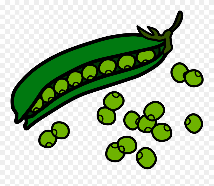 Bean Clip Art - Peas Clipart - Png Download