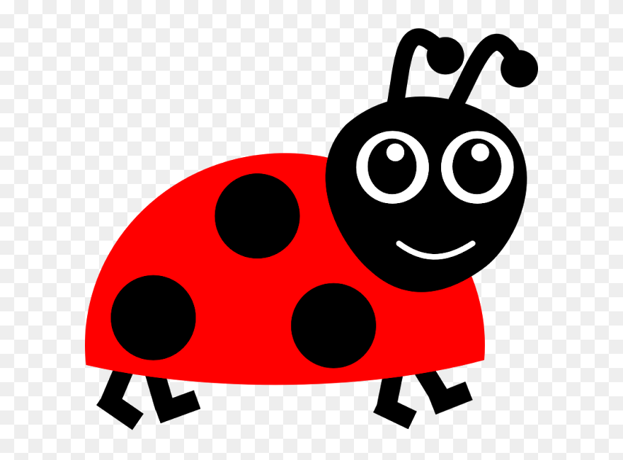 Cartoon Ladybird Clipart