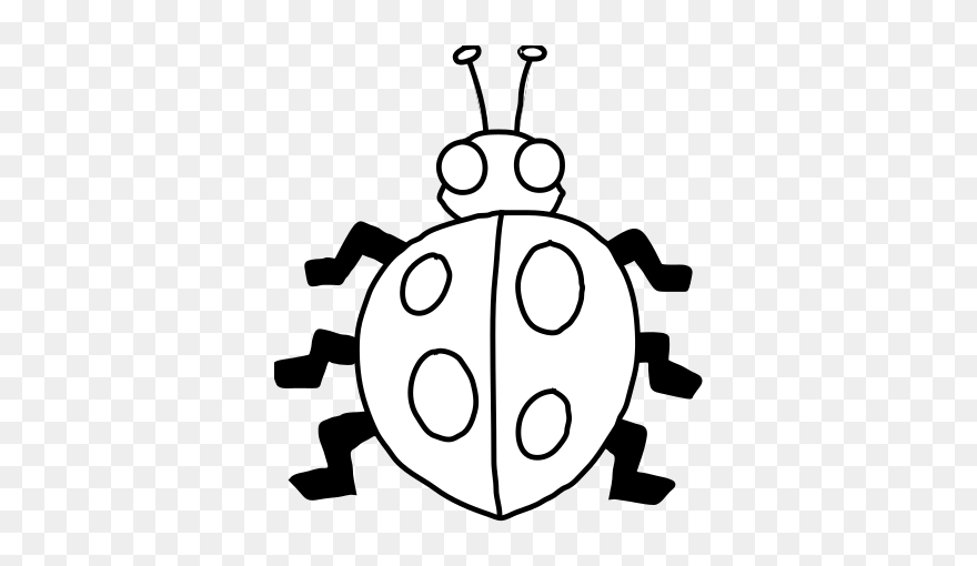 Lady Bug Black And White Clipart