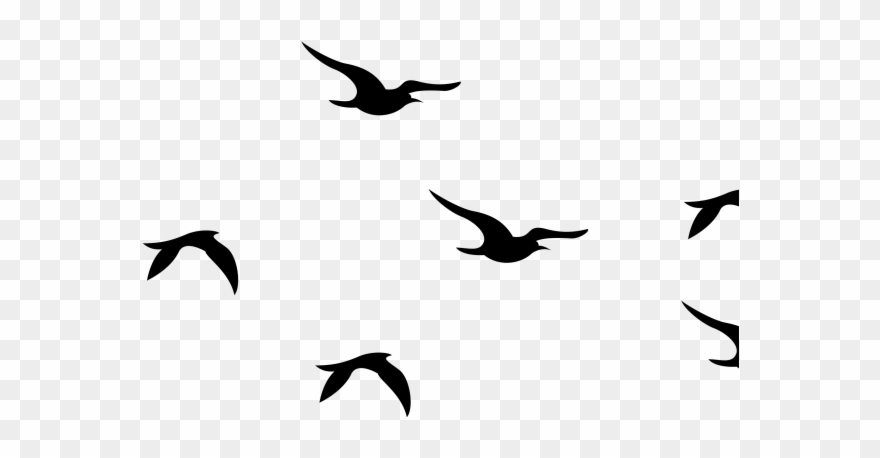 Pencil Clipart Bird - Portable Network Graphics - Png Download