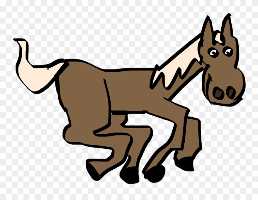 Key Differences, For Teenage Girls - ม้า การ์ตูน Png Clipart