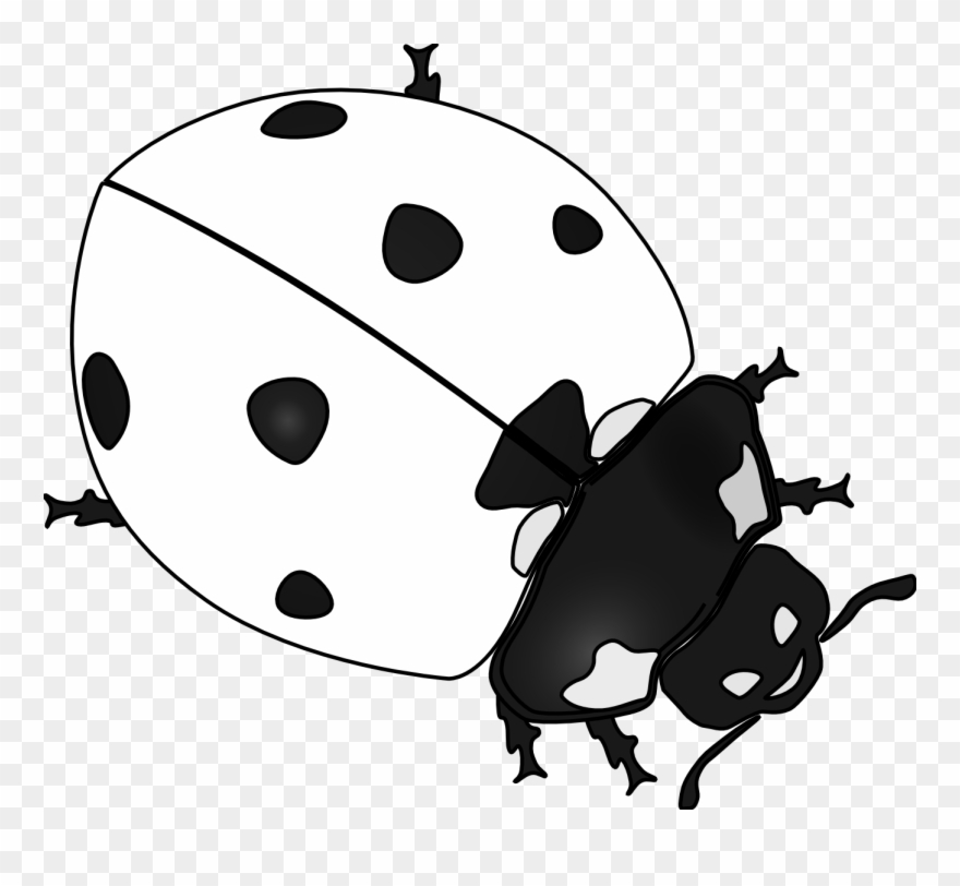 Free - Free Ladybug Clipart Black And White - Png Download