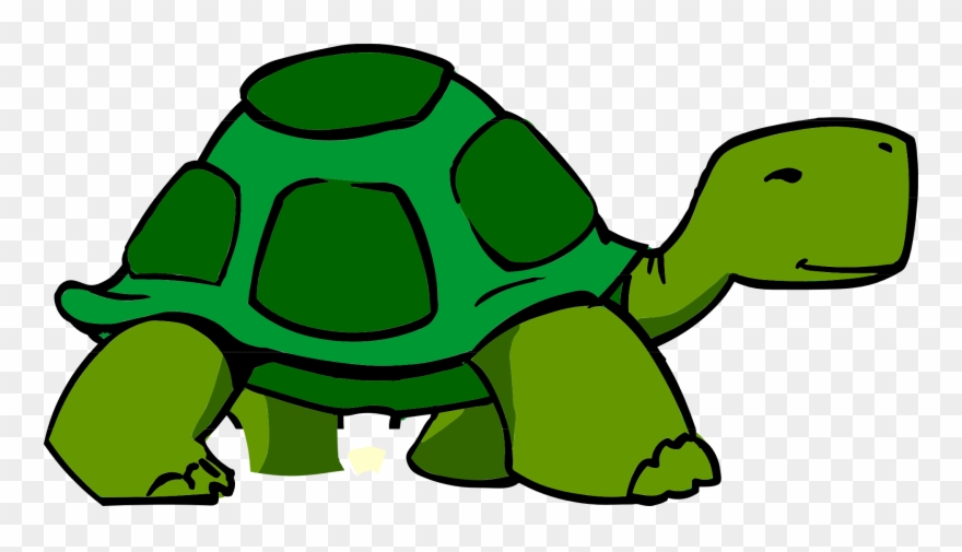 3d Clipart Turtle - Turtle Clipart - Png Download