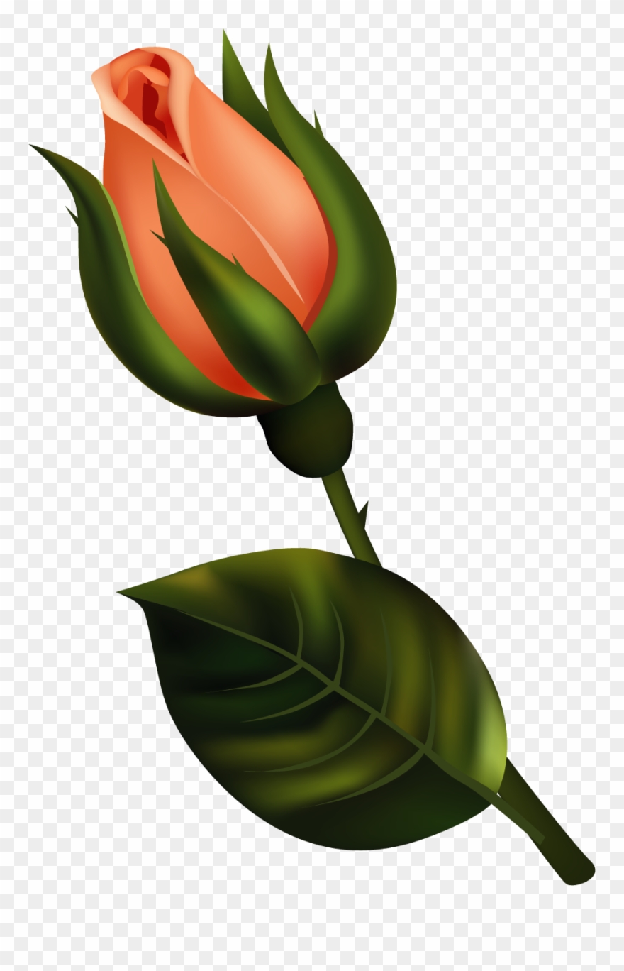 July 2015 « Archive - Bud Clipart - Png Download