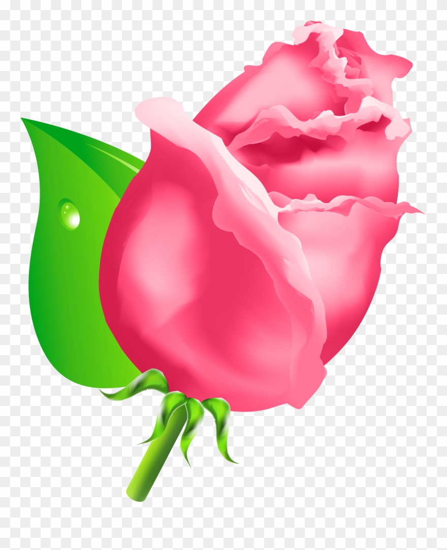 Bud Vector Clip Art - Rose Bud Clip Art - Png Download