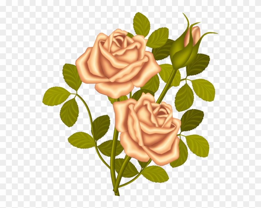 Clip Art Library Library Kwiaty Transparent Pinterest - Rose Bouquet Clip Art - Png Download