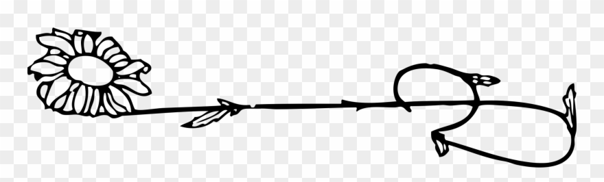 Floral Vector Designs Flower Plant Stem Common Daisy - Clip Art - Png Download