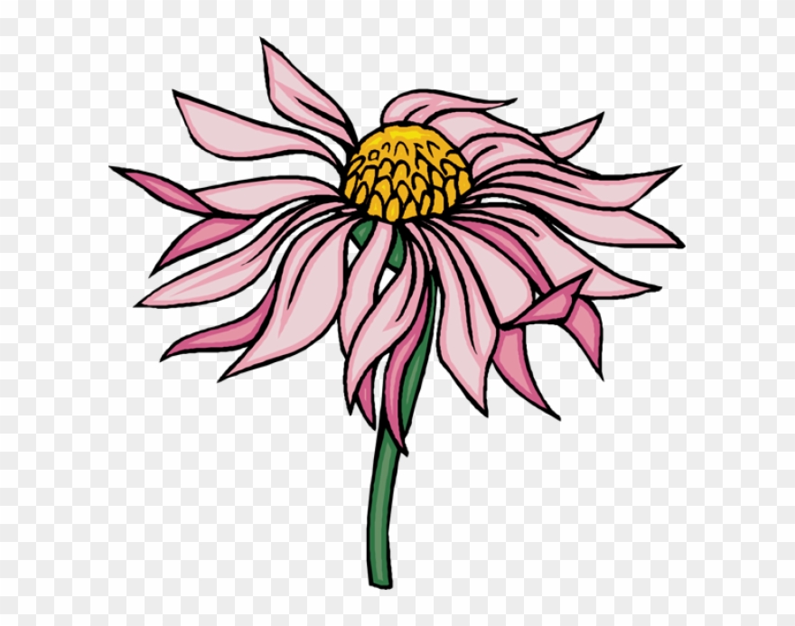 Beautiful Clip Art Of Flowers - Clip Art - Png Download