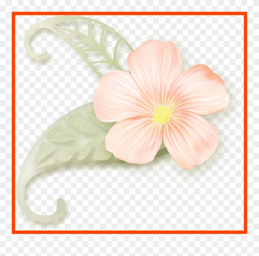 Awesome Pin By Eynasoo On Clipart Clip Art And Of Anthurium - Clip Art - Png Download