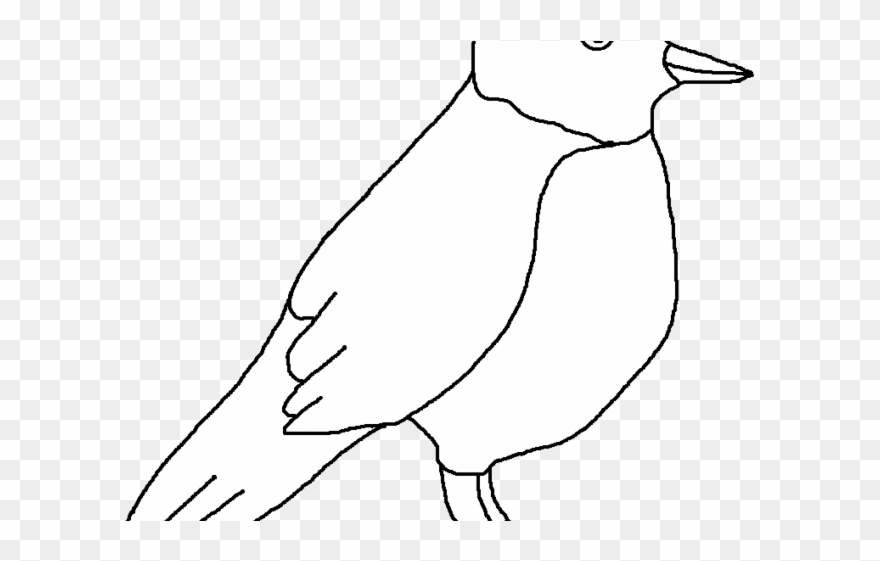 Robin Clipart Black And White - Adã©lie Penguin - Png Download