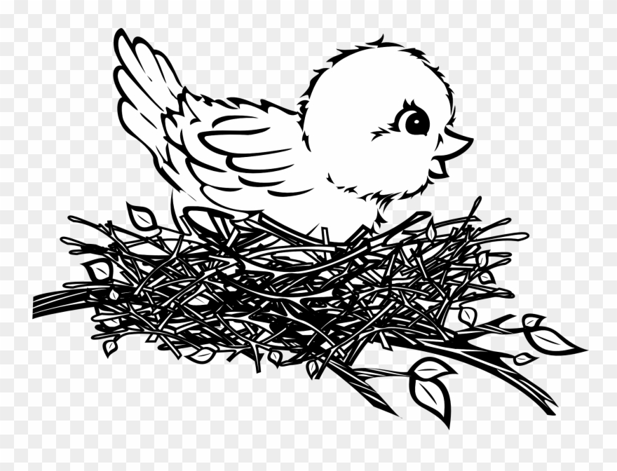 Bird In A Nest Art - Baby Bird In Nest Drawing Clipart