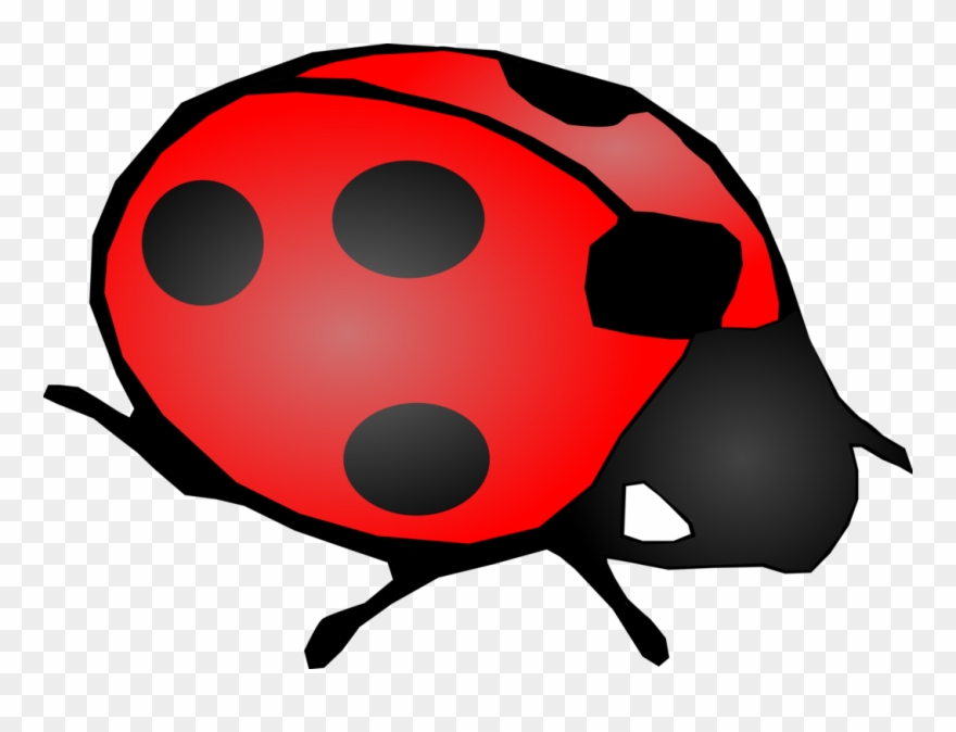 Onlinelabels Clip Art - Ladybird Black And White - Png Download