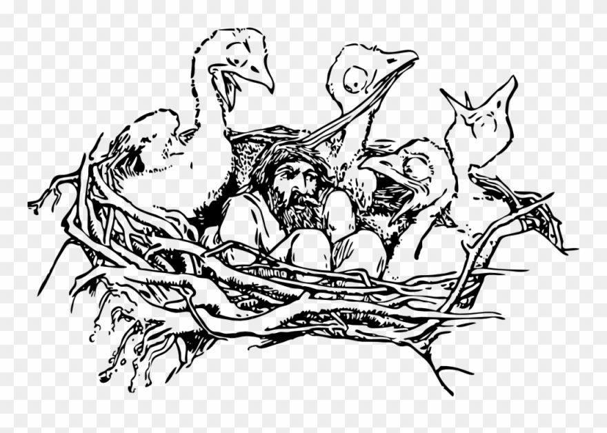 Man In A Birds Nest - Words With Letter N In English Clipart