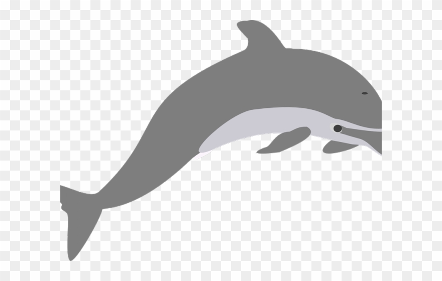 Clip Art Royalty Free Clipart Of Dolphins Jumping - Dolphin Clip Art - Png Download