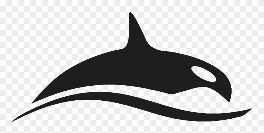 Lasso Clipart Roop - Png Download