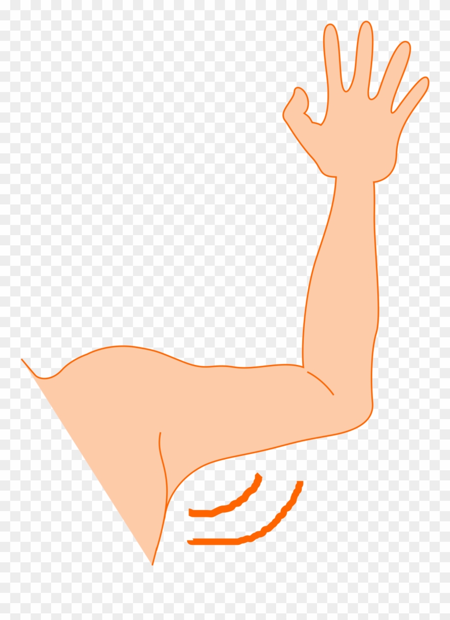 Clipart Arm Pit - Armpit Clipart - Png Download