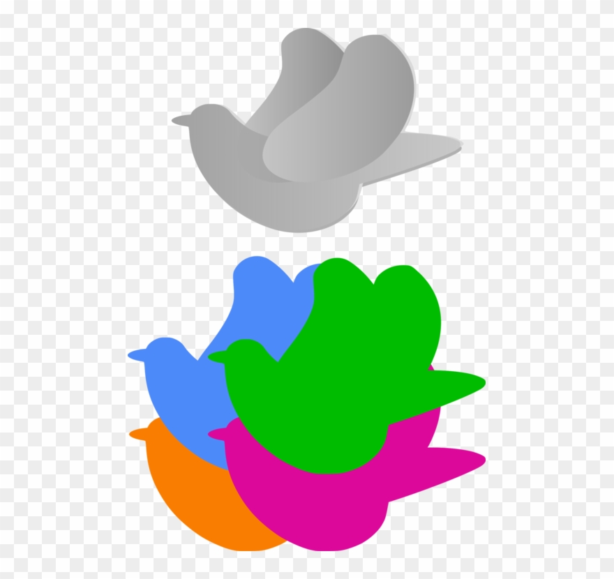 Columbidae Homing Pigeon Bird Racing Homer English - Palomas Animadas De Colores Clipart