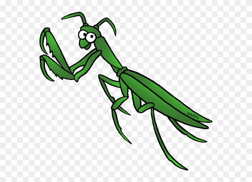 Free United States Clip Art By Phillip Martin, State - Clip Art Praying Mantis - Png Download