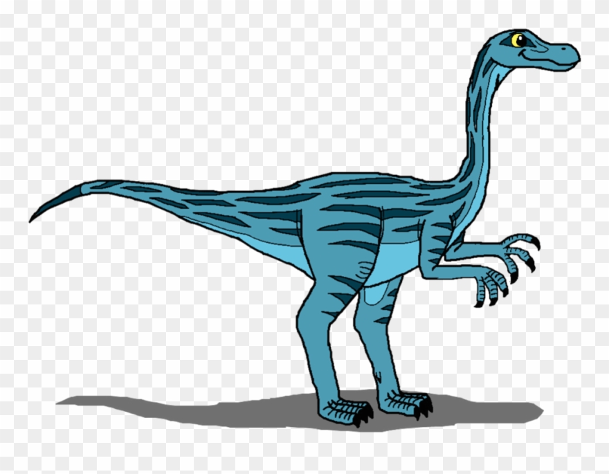 Denver Broncos Clipart Free Clip Art Images - Raptor Clipart Png Transparent Png