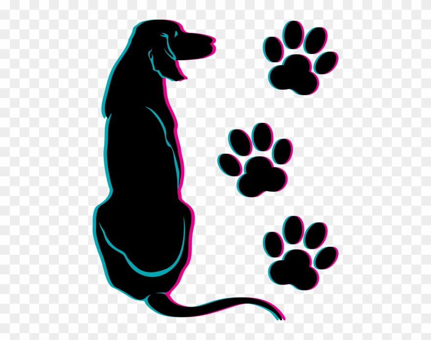 Head To Paws Mobile Dog Grooming Mobile Grooming Salon - Clipart Dog Grooming Tools Transparent - Png Download