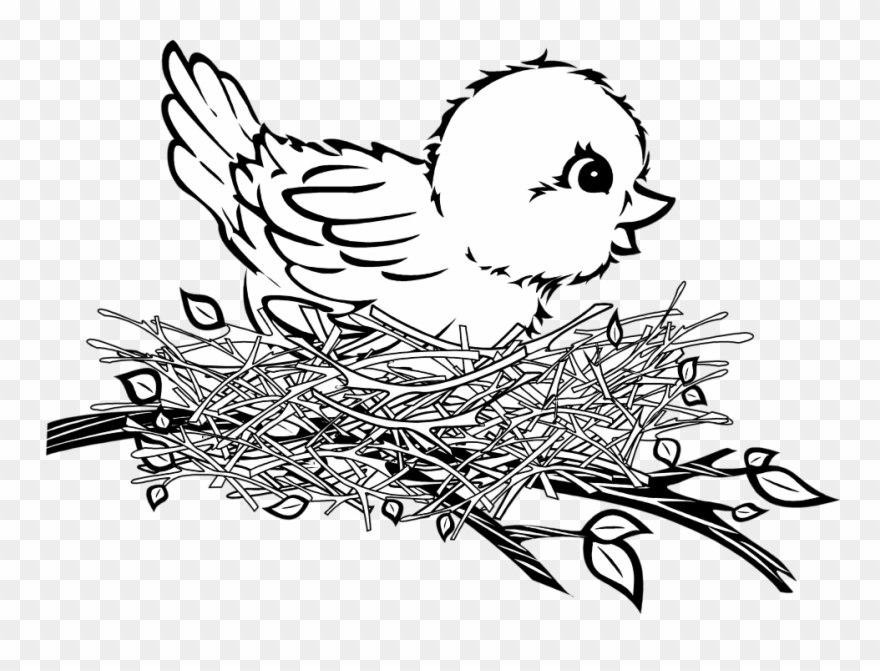 Banner Cartoon Birds Patterns Pinterest - Bird In Nest Clipart - Png Download