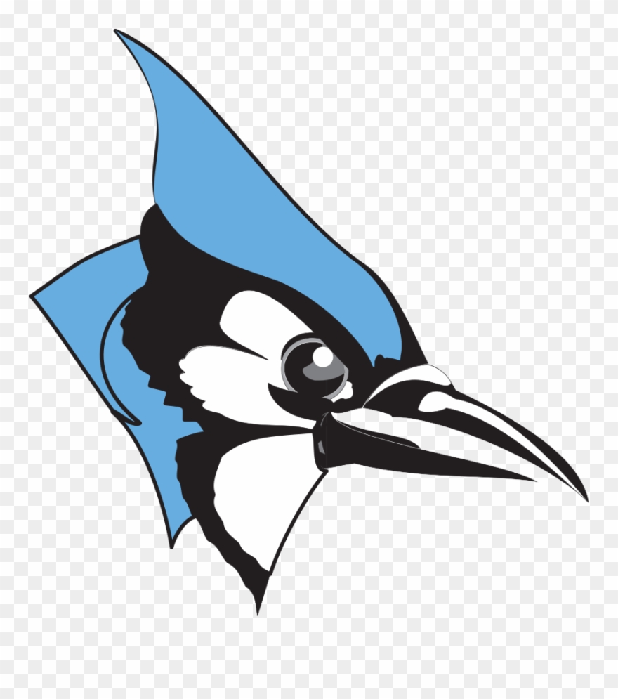 Clipart Library Library Hopkins Jays Clipart - John Hopkins University Blue Jays - Png Download