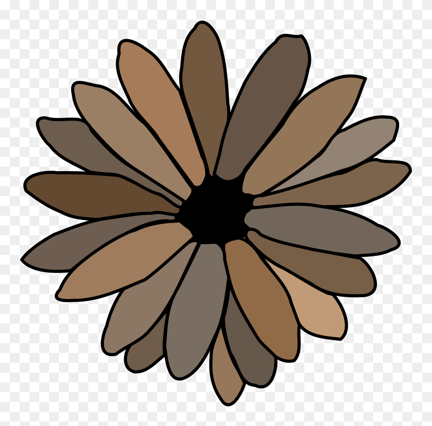 Daisy Clipart Books - Single Flower Coloring Flower - Png Download