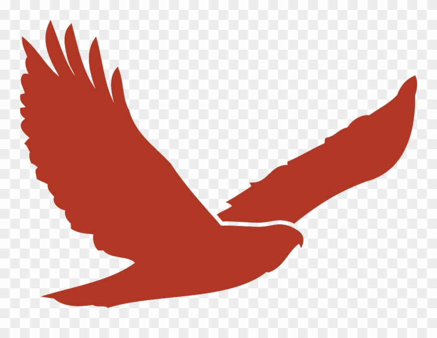 Red Hawk Golf Club - Transparent Red Hawk Logo Clipart