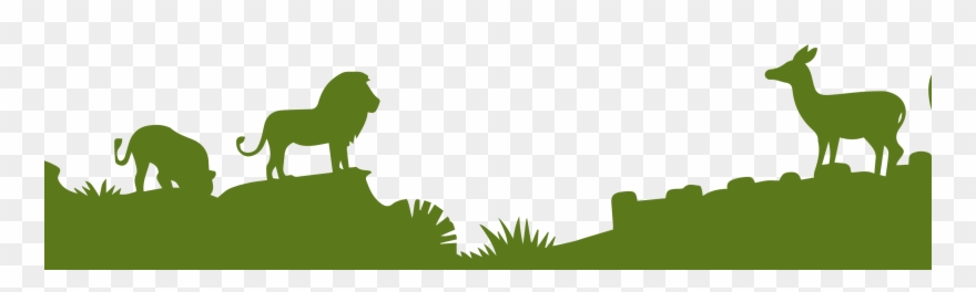 About The Program - Zoo Background Clipart