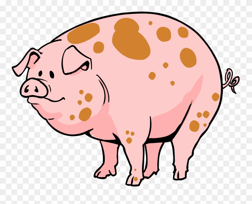 Pig Cartoon - Pig Cartoon Transparent Clipart