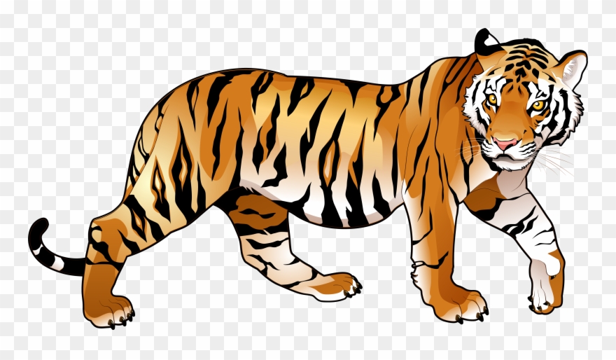 Lovely Decoration Clipart Tiger Png Danielbentley Me - Riding The Tiger: How To Execute Business Strategy Transparent Png