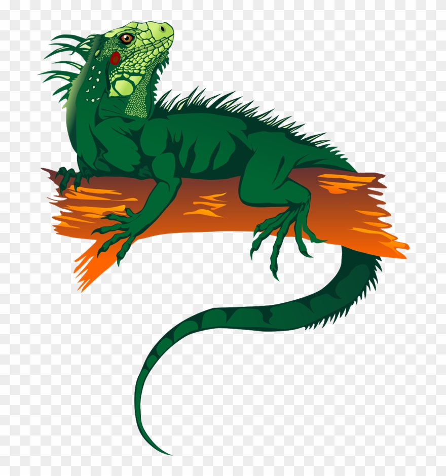 Clipart Info - Iguana Clipart Png Transparent Png