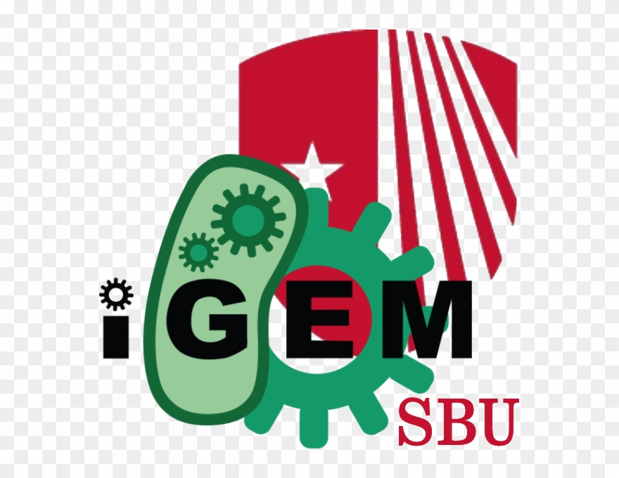Team - Stony Brook/team - International Genetically Engineered Machine Clipart