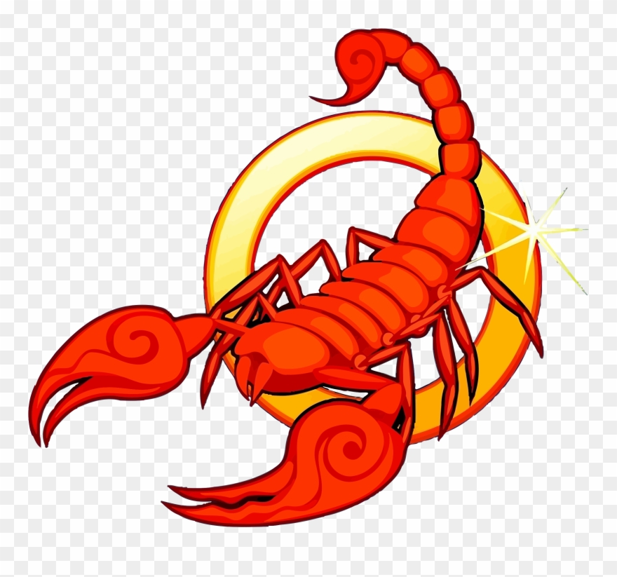 Scorpion Clipart - Photo - Zodiac Astrological Sign Scorpio Scorpion 10/23 - Png Download