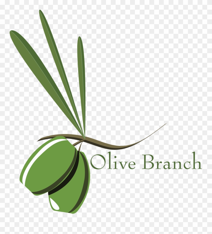 The Branch Environment Olijf Bomen Pinterest - Olive Branch Petition Drawing Clipart
