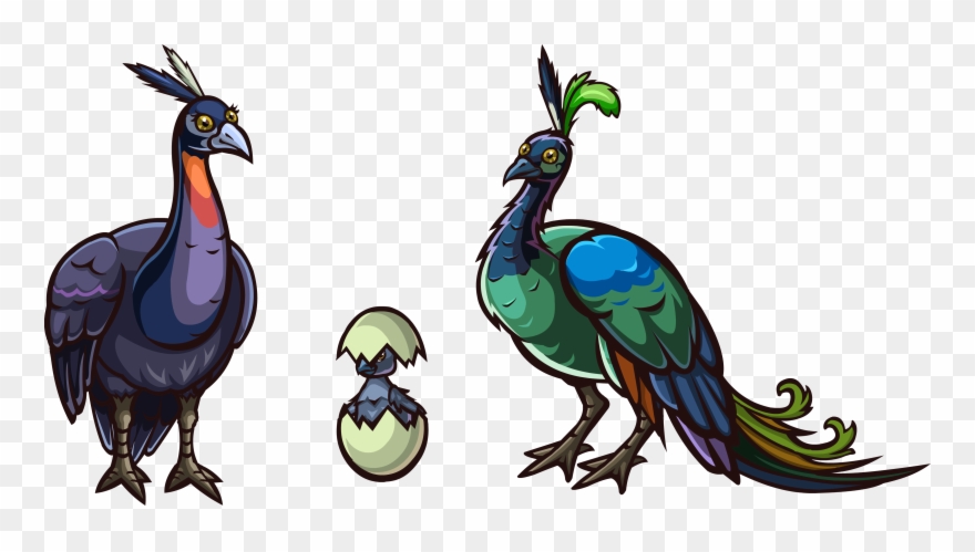 [ Img] - Zoomumba Peacock Clipart
