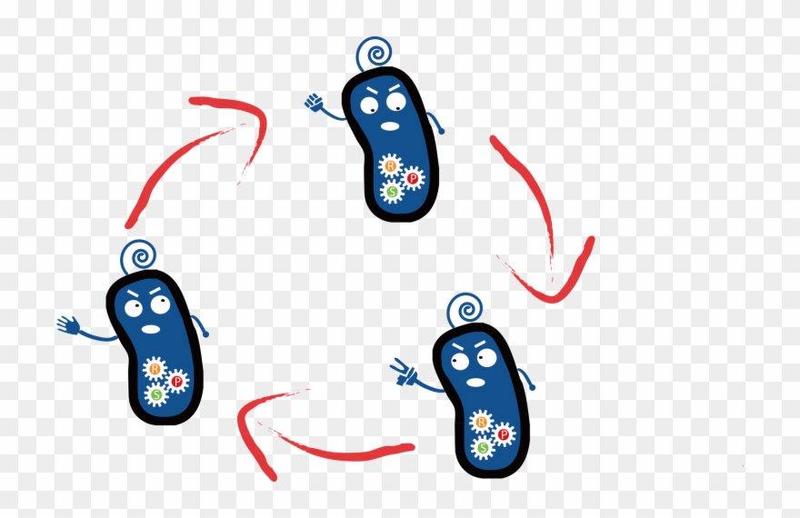 Survival Of One Strain Clipart