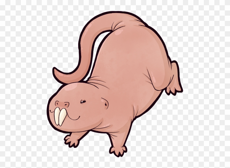 I Love Naked Mole Rats - Rat Colony Clipart