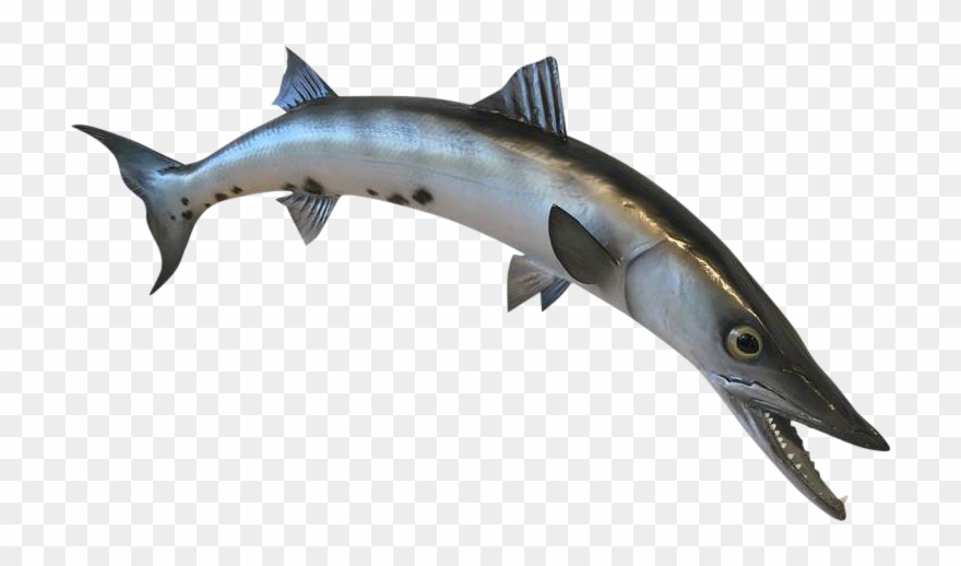 Clipart Royalty Free Vintage Nautical Wall Mount - Rocketfish Tilting Tv Wall Mount For Most 32"-70" Tvs - Png Download