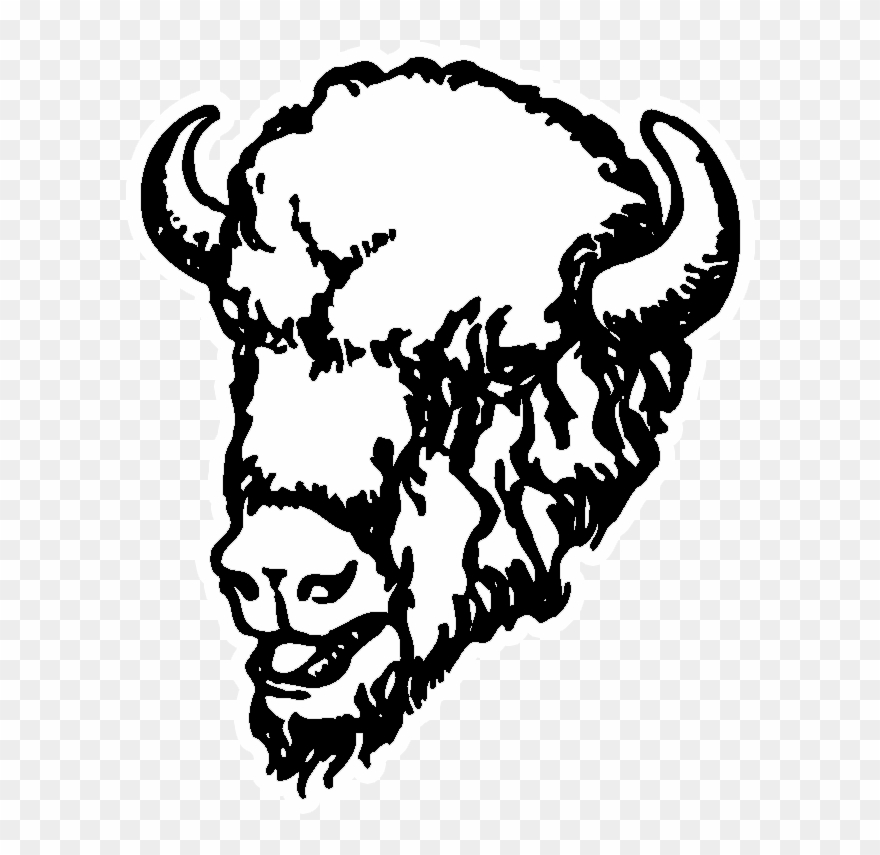 Buffalo - - Buffalo Clipart