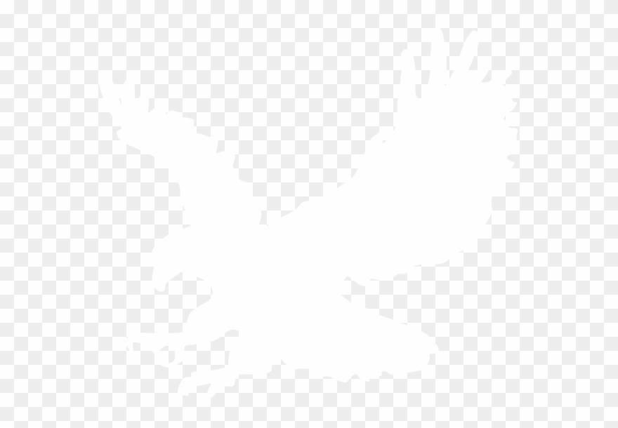 Wedge Tailed Eagle Clipart - Png Download