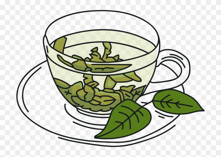 Oregano Tisane Clipart