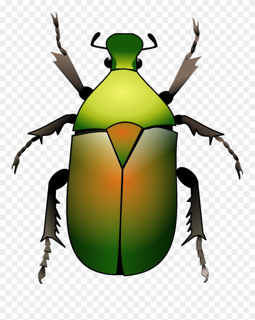 File - Green Beetle - Svg - Beetle Svg Clipart