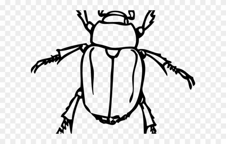 Dung Beetle Clipart Japanese - Insects Black And White - Png Download