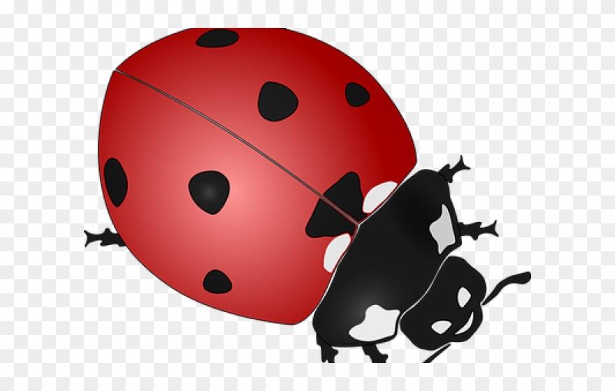 Drawn Lady Beetle Clipart - Ladybird Beetle Tile Coaster - Png Download