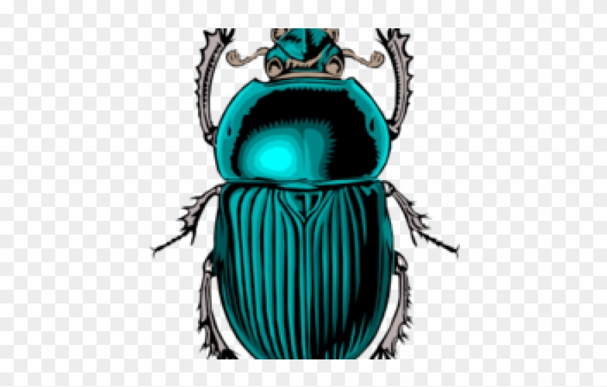 Egyptian Bug Clipart