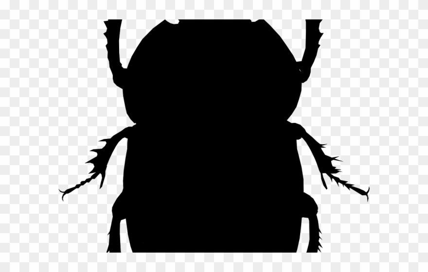 Beetle Clipart Insect Animal - Beetle Silhouette Shower Curtain - Png Download