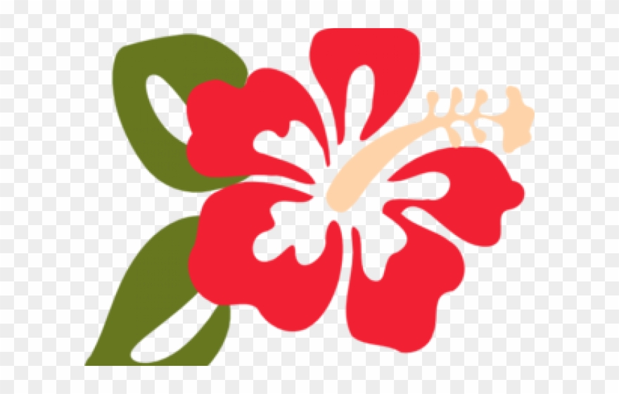 Clip Art Hibiscus Flower - Png Download