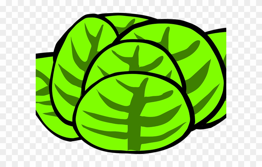 Lettuce Clipart Clip Art - Caesar Salad Clip Art - Png Download