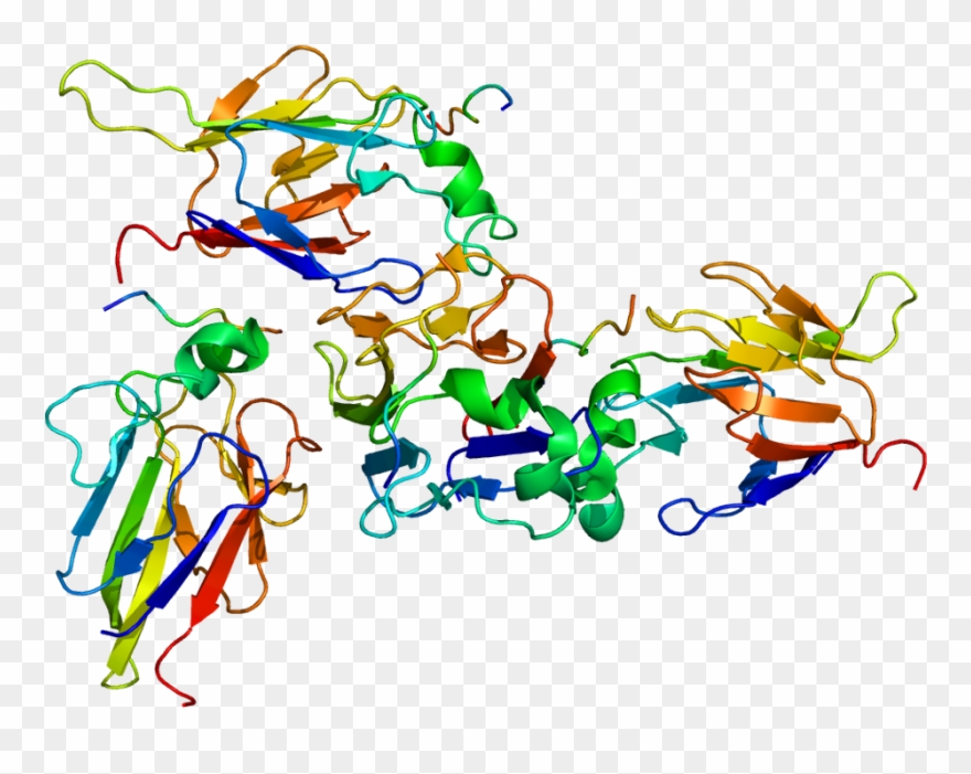 Enciclopedia Libre Universal En Español Clipart